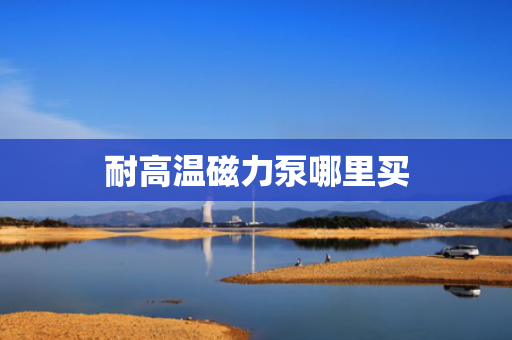 耐高温磁力泵哪里买