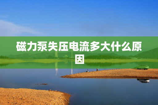 磁力泵失压电流多大什么原因