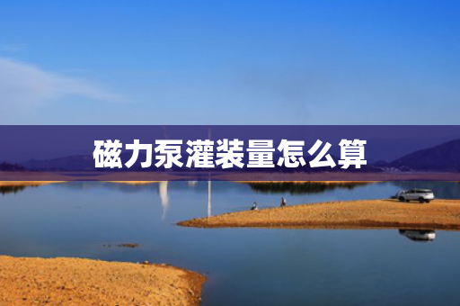 磁力泵灌装量怎么算