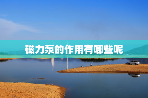 磁力泵的作用有哪些呢