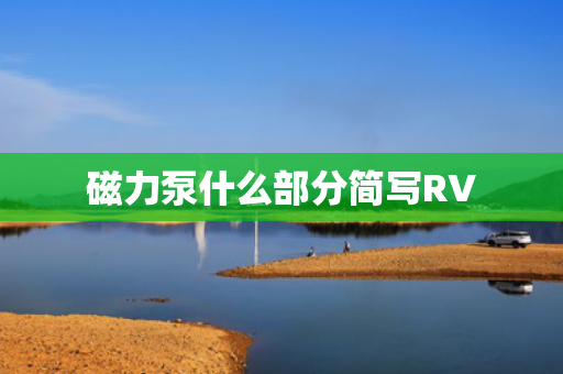 磁力泵什么部分简写RV