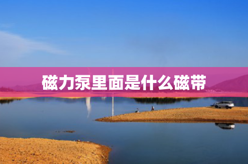 磁力泵里面是什么磁带