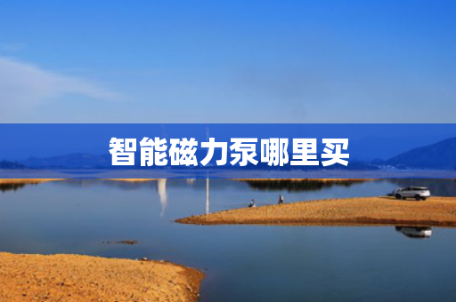 智能磁力泵哪里买