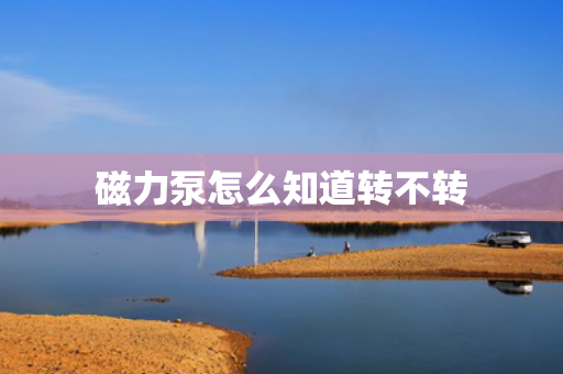磁力泵怎么知道转不转