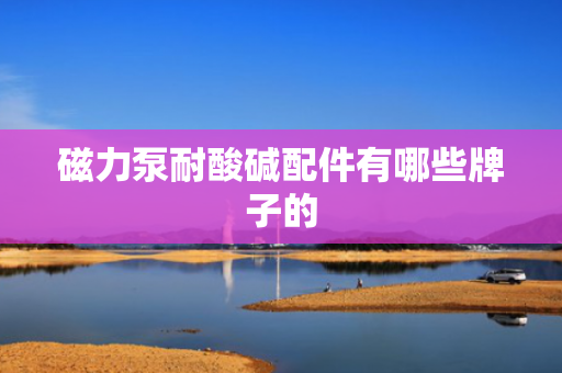 磁力泵耐酸碱配件有哪些牌子的
