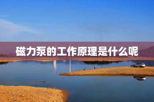 磁力泵的工作原理是什么呢