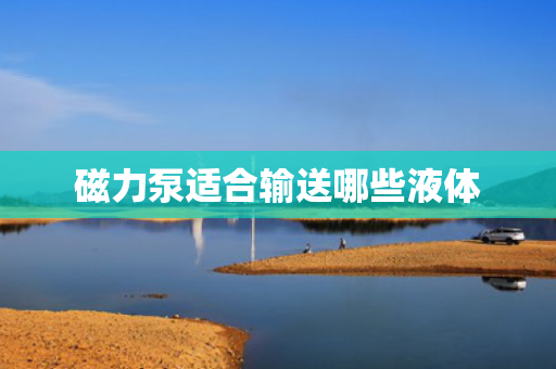 磁力泵适合输送哪些液体