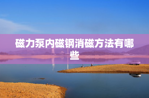 磁力泵内磁钢消磁方法有哪些