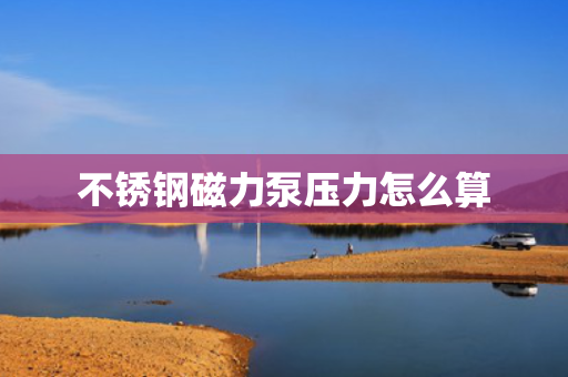 不锈钢磁力泵压力怎么算