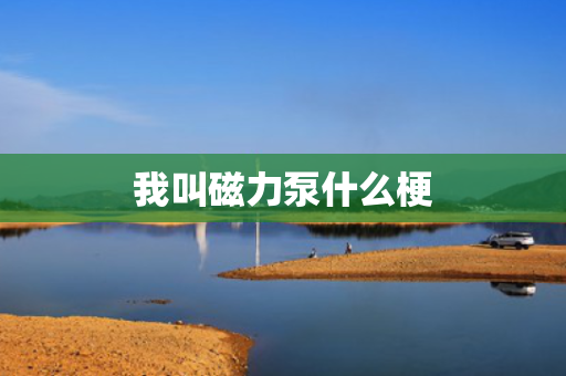 我叫磁力泵什么梗