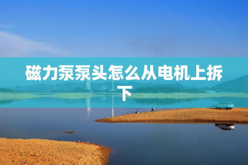 磁力泵泵头怎么从电机上拆下