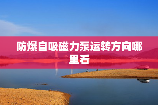 防爆自吸磁力泵运转方向哪里看