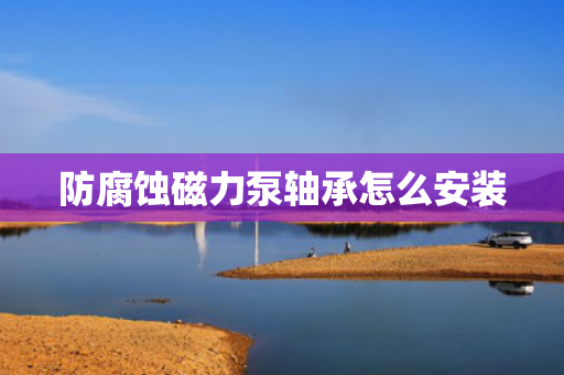 防腐蚀磁力泵轴承怎么安装