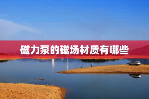 磁力泵的磁场材质有哪些