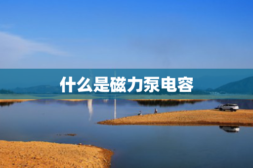 什么是磁力泵电容