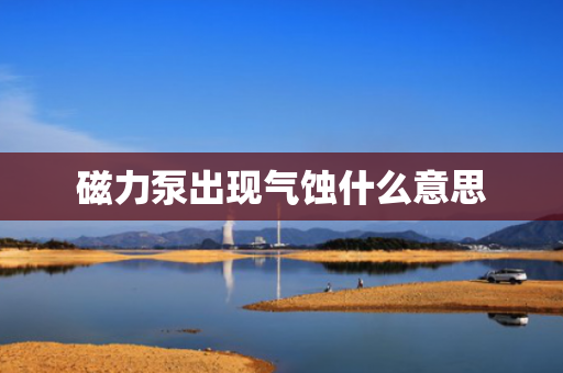 磁力泵出现气蚀什么意思