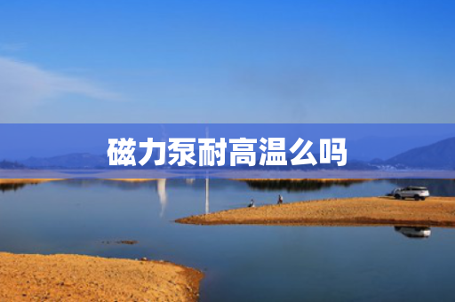 磁力泵耐高温么吗