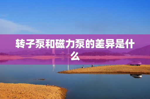 转子泵和磁力泵的差异是什么