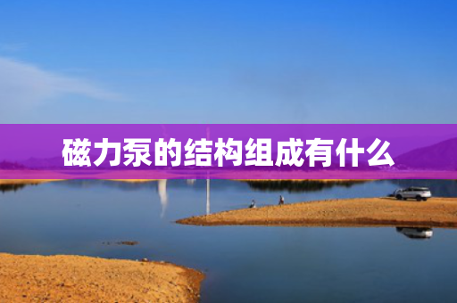 磁力泵的结构组成有什么