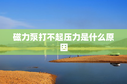 磁力泵打不起压力是什么原因