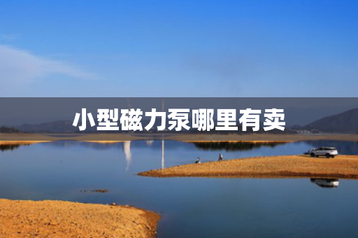 小型磁力泵哪里有卖