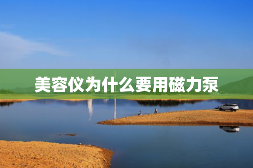美容仪为什么要用磁力泵