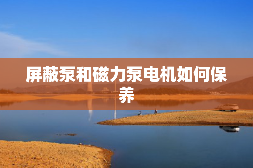屏蔽泵和磁力泵电机如何保养