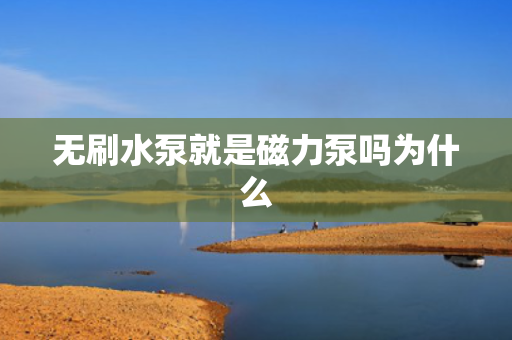无刷水泵就是磁力泵吗为什么