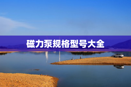 磁力泵规格型号大全
