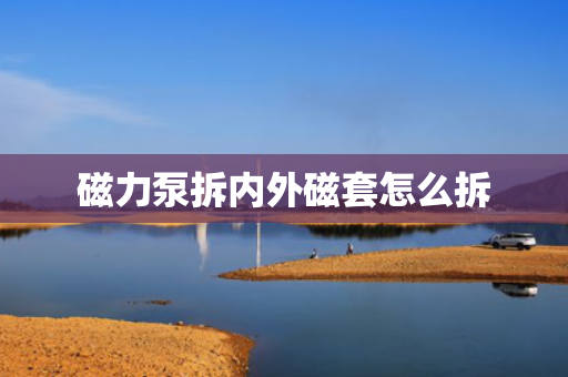 磁力泵拆内外磁套怎么拆
