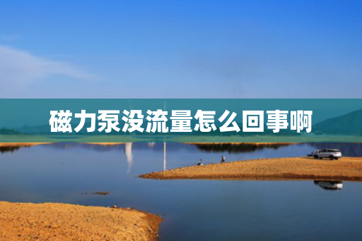 磁力泵没流量怎么回事啊
