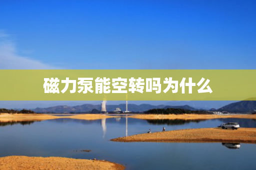磁力泵能空转吗为什么