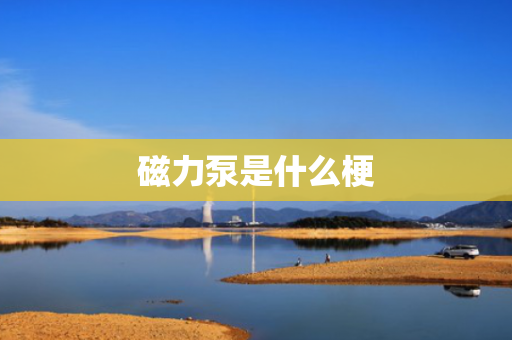 磁力泵是什么梗