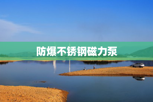 防爆不锈钢磁力泵