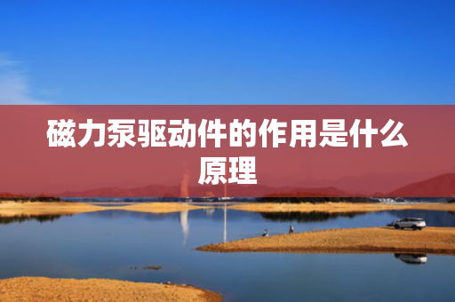 磁力泵驱动件的作用是什么原理