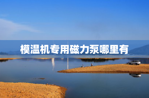 模温机专用磁力泵哪里有