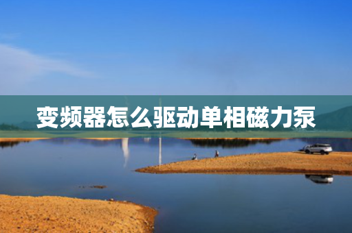 变频器怎么驱动单相磁力泵