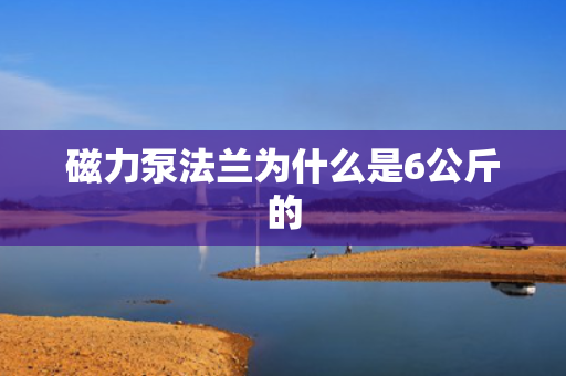 磁力泵法兰为什么是6公斤的