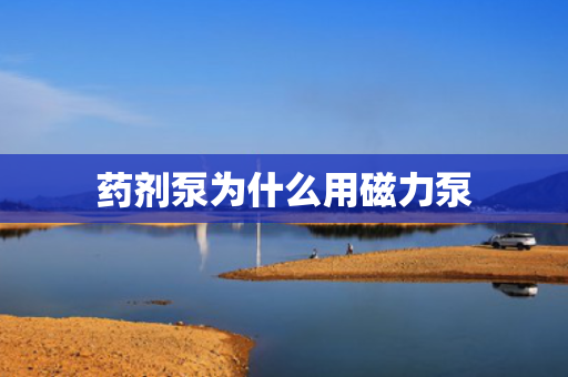 药剂泵为什么用磁力泵