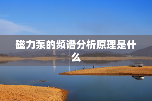 磁力泵的频谱分析原理是什么