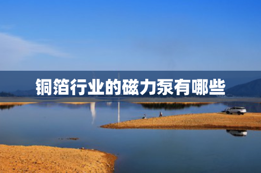 铜箔行业的磁力泵有哪些
