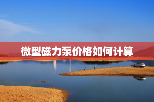微型磁力泵价格如何计算