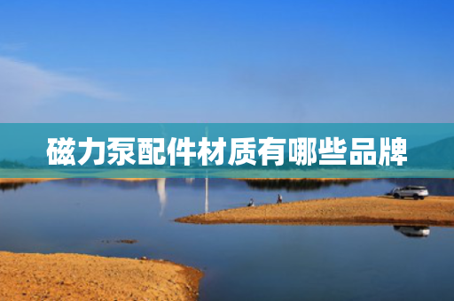 磁力泵配件材质有哪些品牌