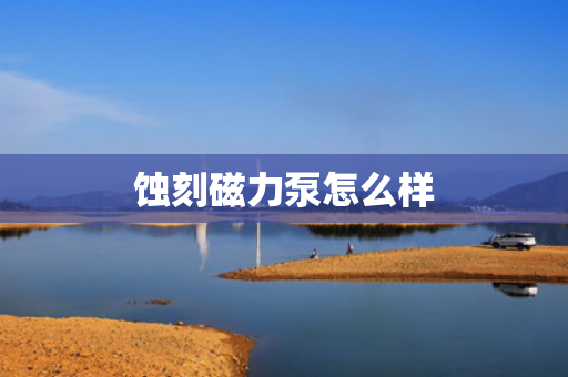 蚀刻磁力泵怎么样