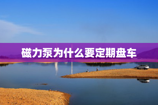 磁力泵为什么要定期盘车