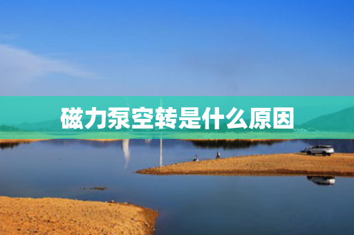 磁力泵空转是什么原因