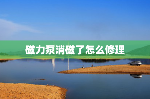 磁力泵消磁了怎么修理