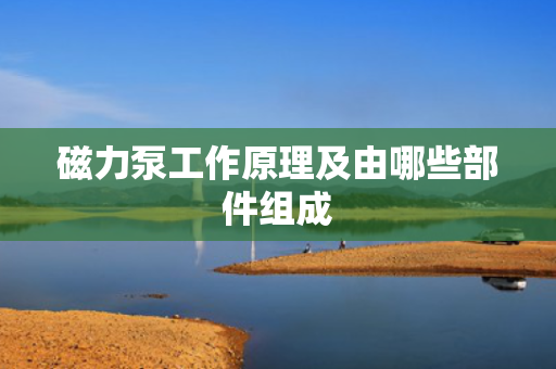 磁力泵工作原理及由哪些部件组成
