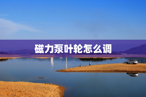 磁力泵叶轮怎么调