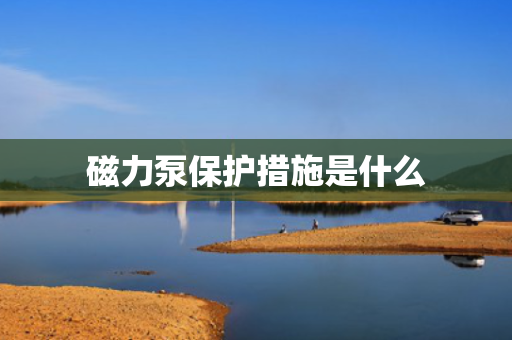 磁力泵保护措施是什么